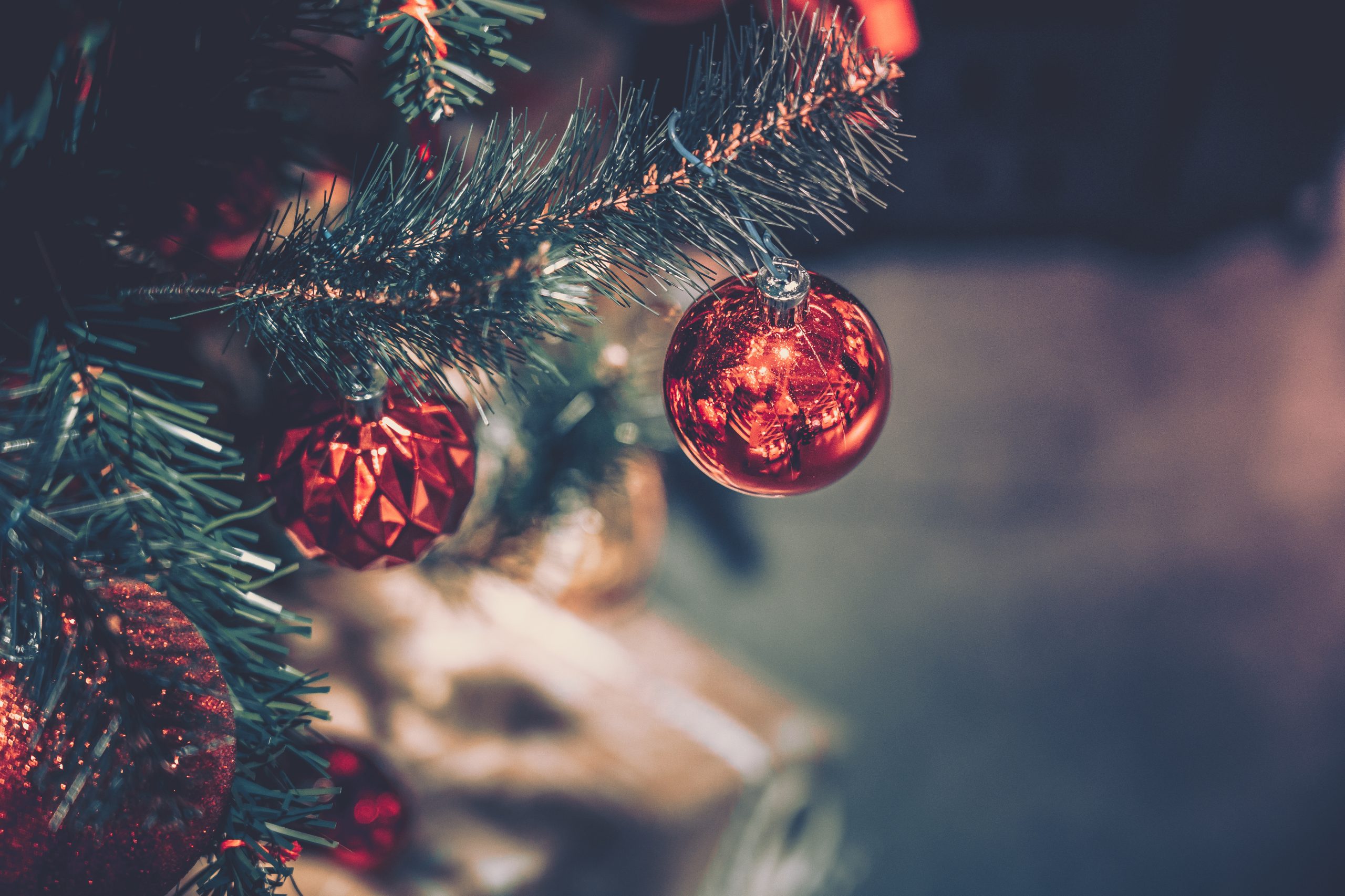 Wondernews Dez 15 – Natal Solidário