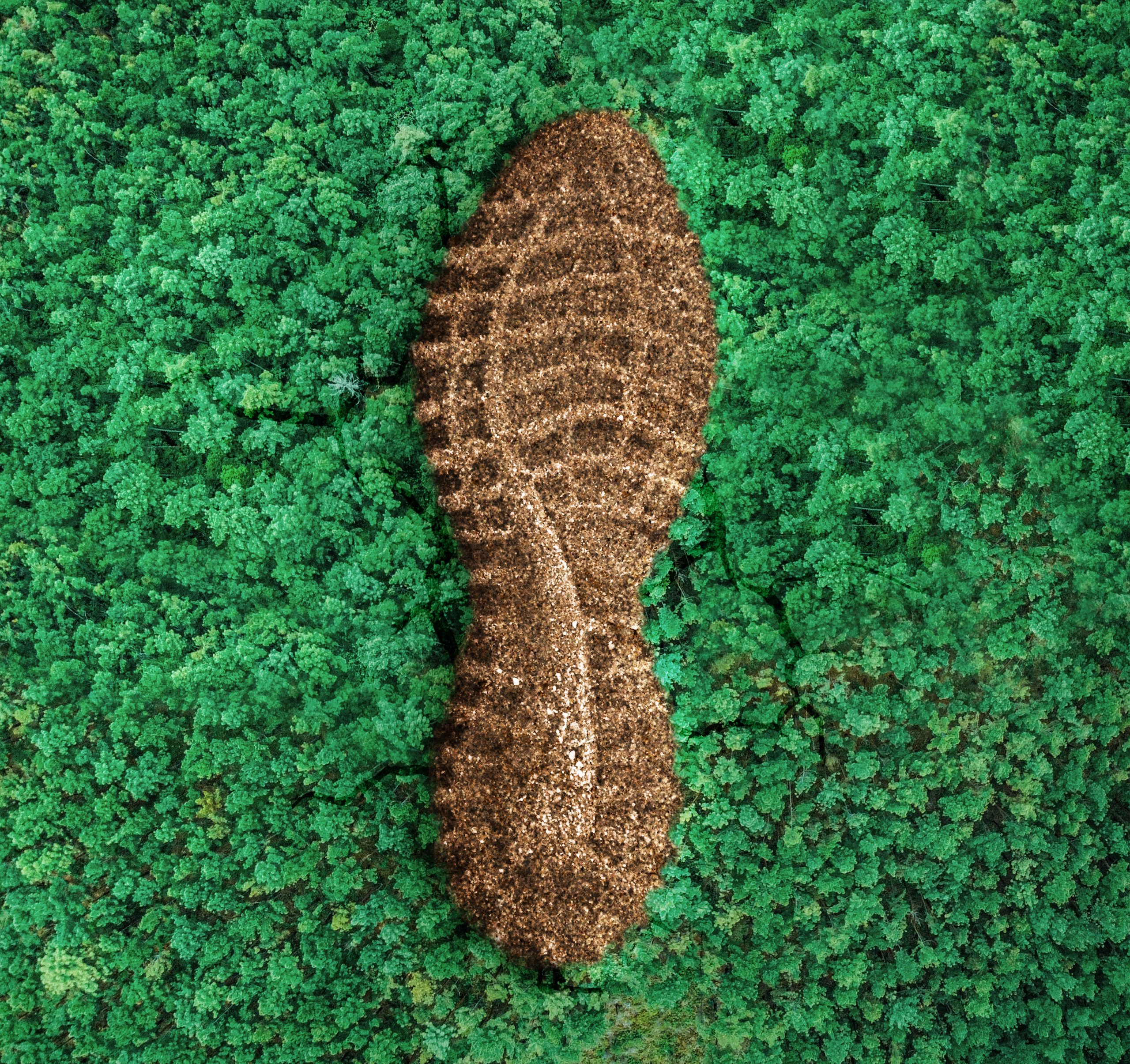 Como Reduzir a nossa Pegada Ecológica?