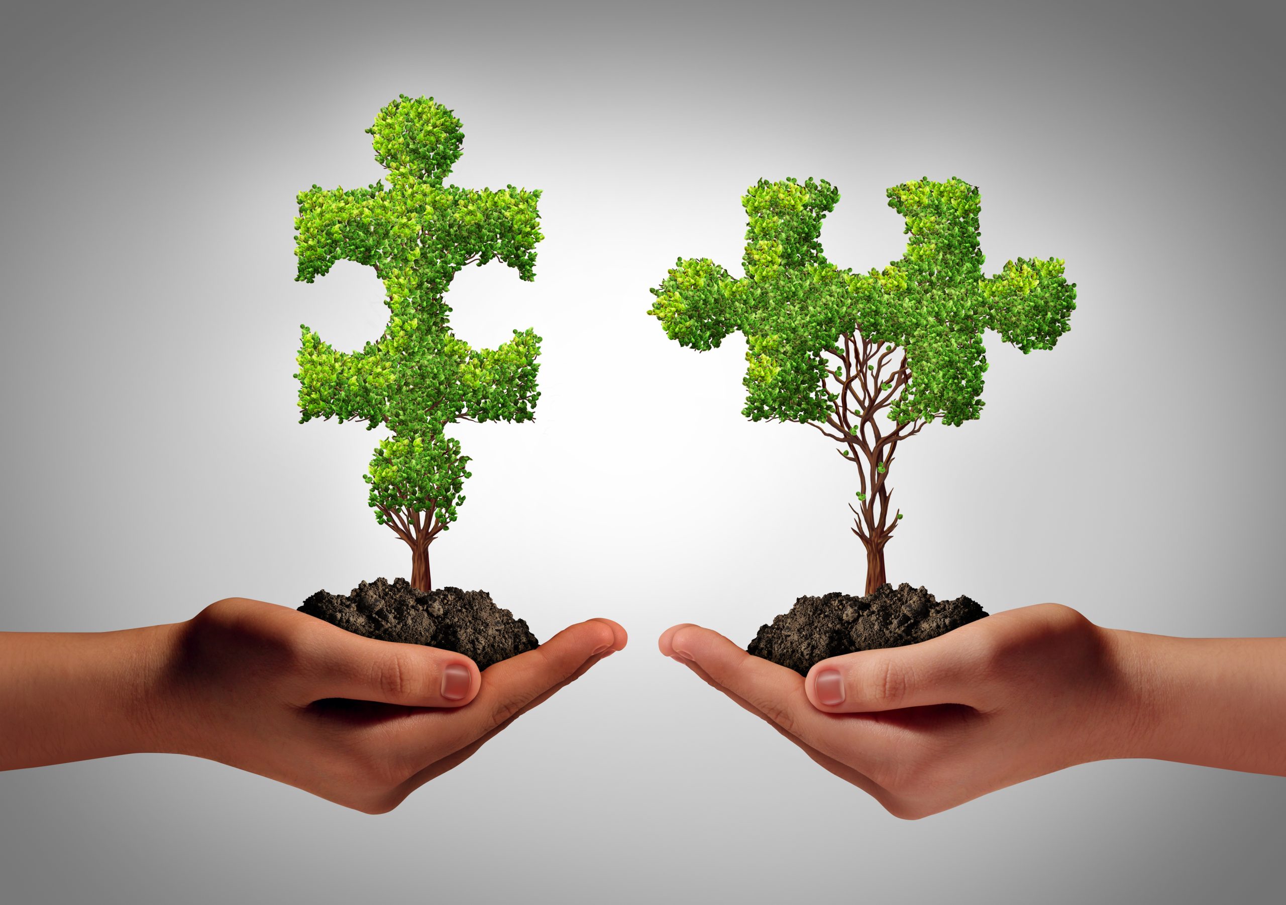 10 ATITUDES SUSTENTÁVEIS PARA UM MUNDO MELHOR